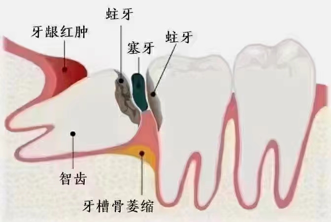 微信图片_20231214092242.jpg